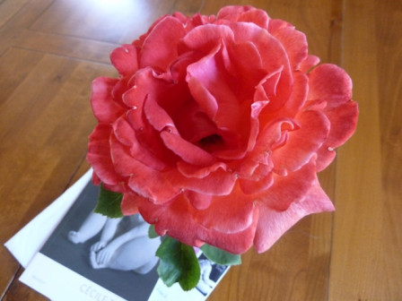 rose-sculpture