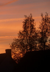 Lueurs-aurore, avr. 2011 Lueurs-aurore