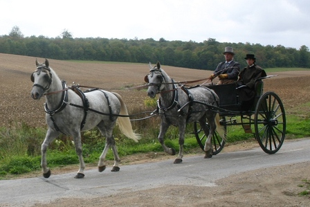 Attelage tandem-René Beideler, fév. 2014 Attelage tandem-René Beideler