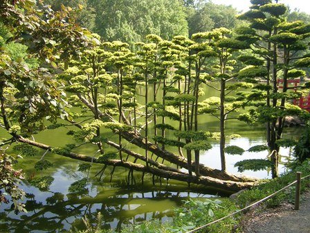 Parc Oriental Maulévrier 4