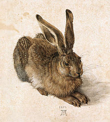 Jeune-lièvre-Dürer