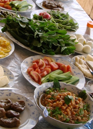 nourriture, juin 2010