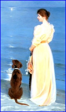 summer-evening-on Skagen beach, juil. 2010 summer-evening-on Skagen beach