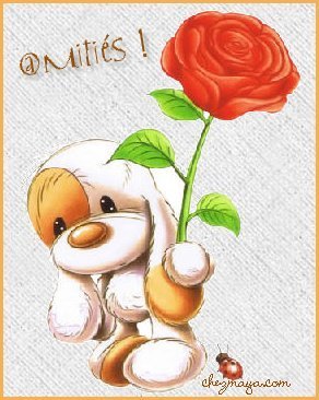 amitiés, janv. 2010