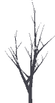 arbre-gif