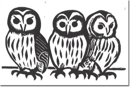 Trois jeunes hulottes