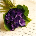 violette-bouquet, avr. 2012 violette-bouquet